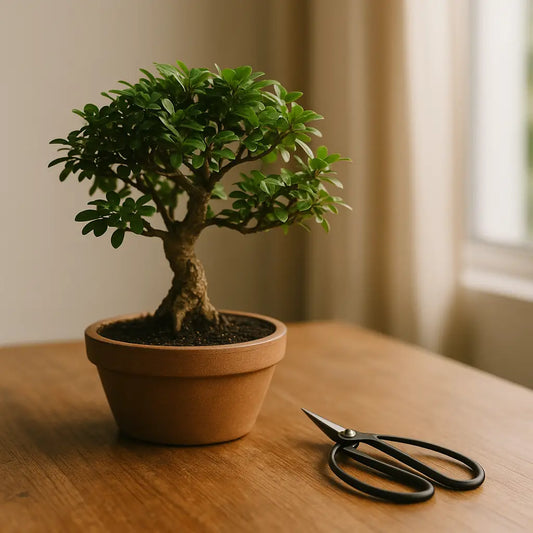 Bonsai schneiden leicht gemacht – deine Anleitung für Form & Balance