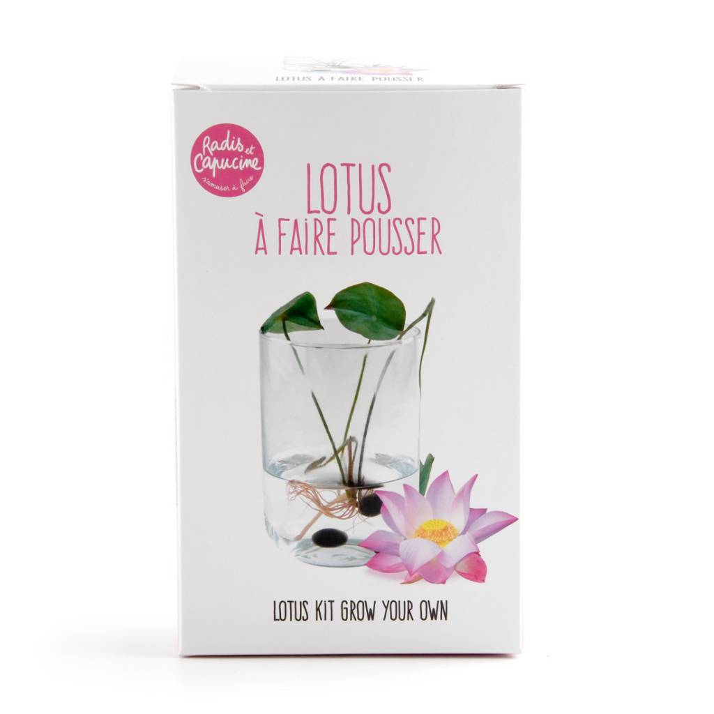 Verpackung des Lotus Anzuchtsets mit Blume und Glas – Lotus selber ziehen Geschenkbox