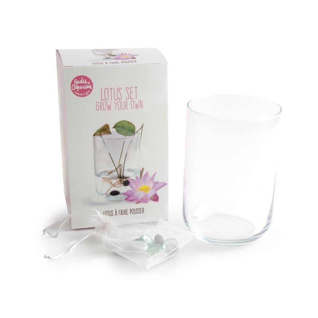 Lotus Anzuchtset mit Vase, Lotus-Samen und dekorativer Aufbewahrungstasche – DIY Set für Zuhause