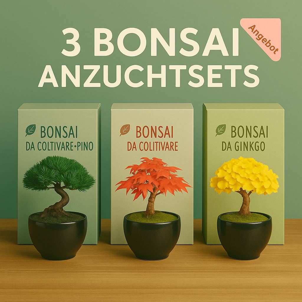 Bonsai Anzuchtset Bundle mit Pinie, rotem Ahorn und Ginkgo – stilvolle Geschenkidee mit drei Mini-Bäumen im Keramiktopf inklusive Verpackung
