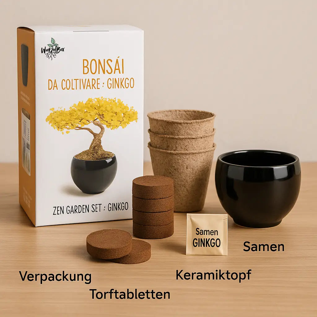 Kompletter Inhalt vom Wurzelbox Bonsai Anzuchtset Ginkgo: Starter Set für Anfänger mit Keramiktopf, Anzuchttöpfen, Samen und Anleitung
