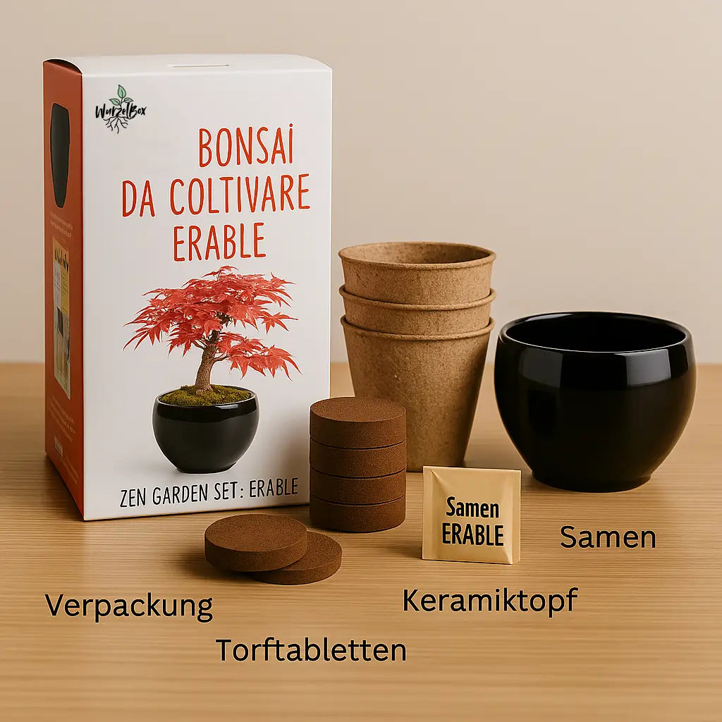 Kompletter Inhalt vom Wurzelbox Bonsai Anzuchtset Roter Ahorn: Starter Set für Anfänger, perfektes Geschenk für Pflanzenliebhaber