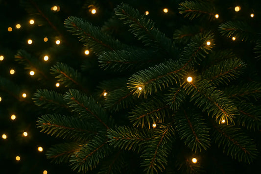 Nachhaltig feiern – Warum ein selbst gezogener Weihnachtsbaum die schönste Alternative ist einfach umsetzen mit nachhaltiger Weihnachtsbaum