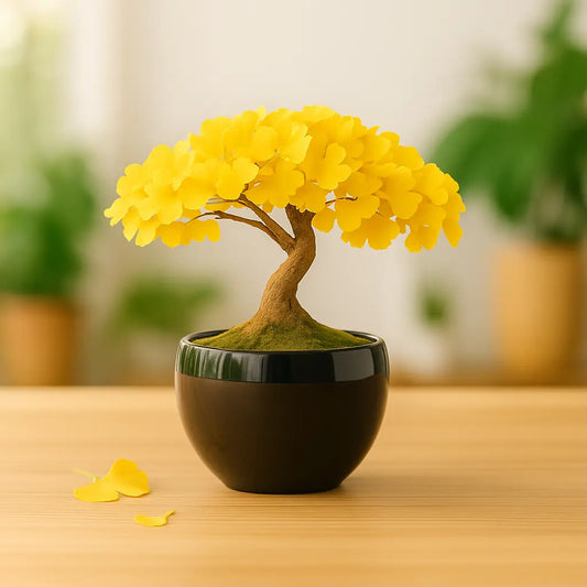 Bonsai Anzuchtset Ginkgo aus dem Wurzelbox Starter Set – ideal für Anfänger zum Bonsai selber ziehen, goldgelbe Blätter im Keramiktopf