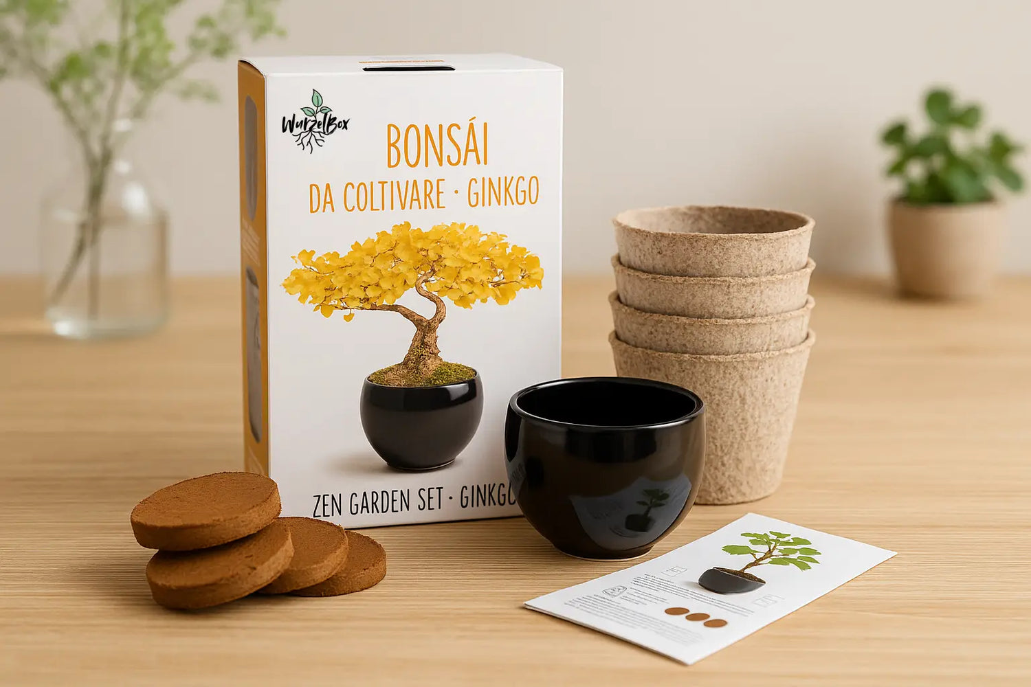 Wurzelbox Bonsai Anzuchtset Ginkgo – Set-Inhalt mit schwarzem Keramiktopf, Anzuchttöpfen, Substratscheiben, Samen und Anleitung vor Verpackung.

