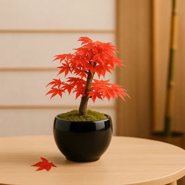 Bonsai Anzuchtset Roter Ahorn – Bonsai Starter Set von Wurzelbox, japanische Eleganz im Keramiktopf, ideal für Anfänger