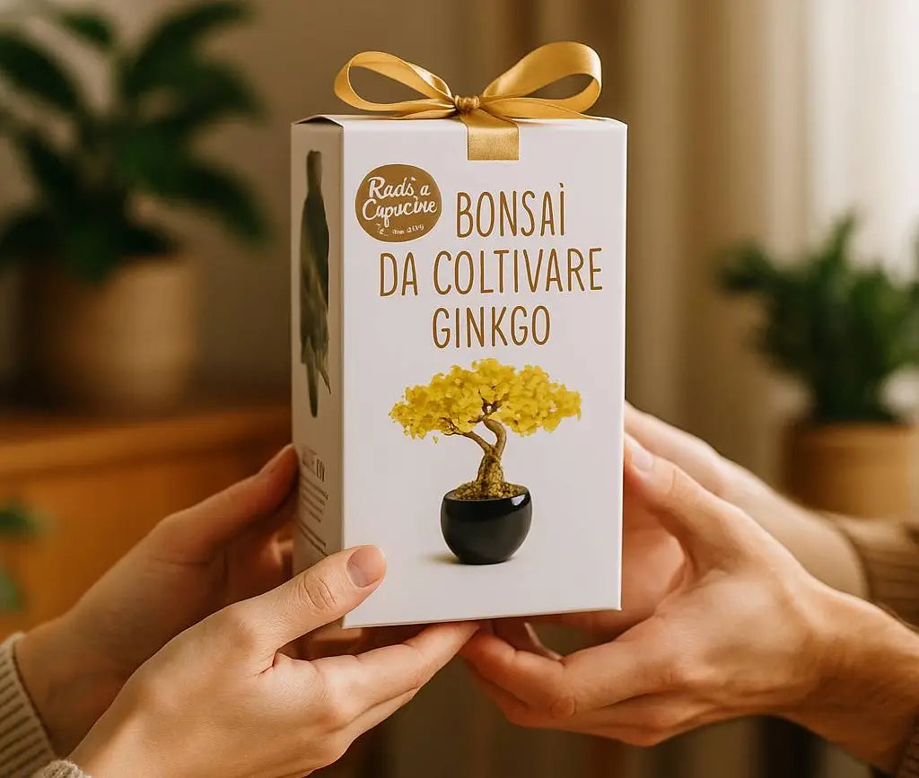 Bonsai Pflege als DIY-Geschenk oder Wohlfühlmoment