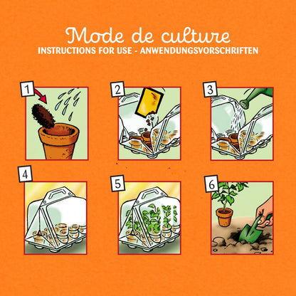 Illustration mit 6 Schritten zur Anwendung des Kräutergarten-Sets: Erde wässern, Samen säen, gießen, abdecken, keimen lassen, umpflanzen
