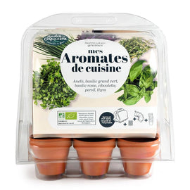 Kräutergarten-Set von Wurzelbox in transparenter Verpackung mit sechs Tontöpfen und Kräutersorten-Anzeige
