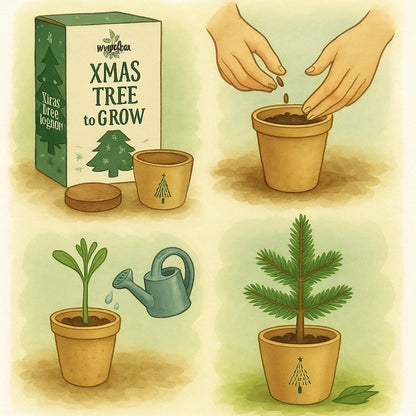 Weihnachtsbaum-Anzuchtset – Dein Weihnachtsbaum 2030