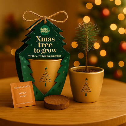 Weihnachtsbaum-Anzuchtset – Dein Weihnachtsbaum 2030